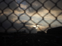 OLYMPUS OM-D E-M5 94.jpg