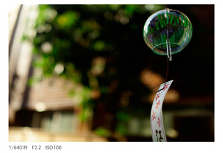 sony_RX1R_9mai_sibori_02.jpg